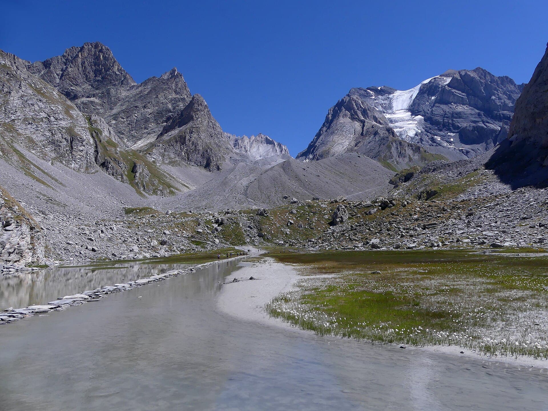 Glaciers de la Vanoise dominant les alpages dorés