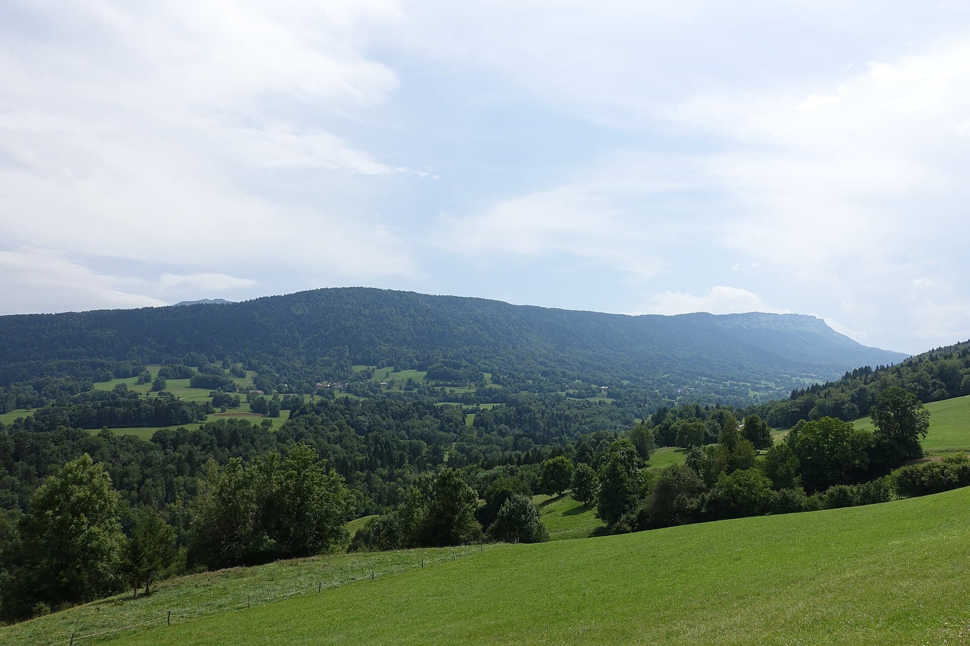 Plateau forestier et lapiaz du Margériaz vus d'en haut