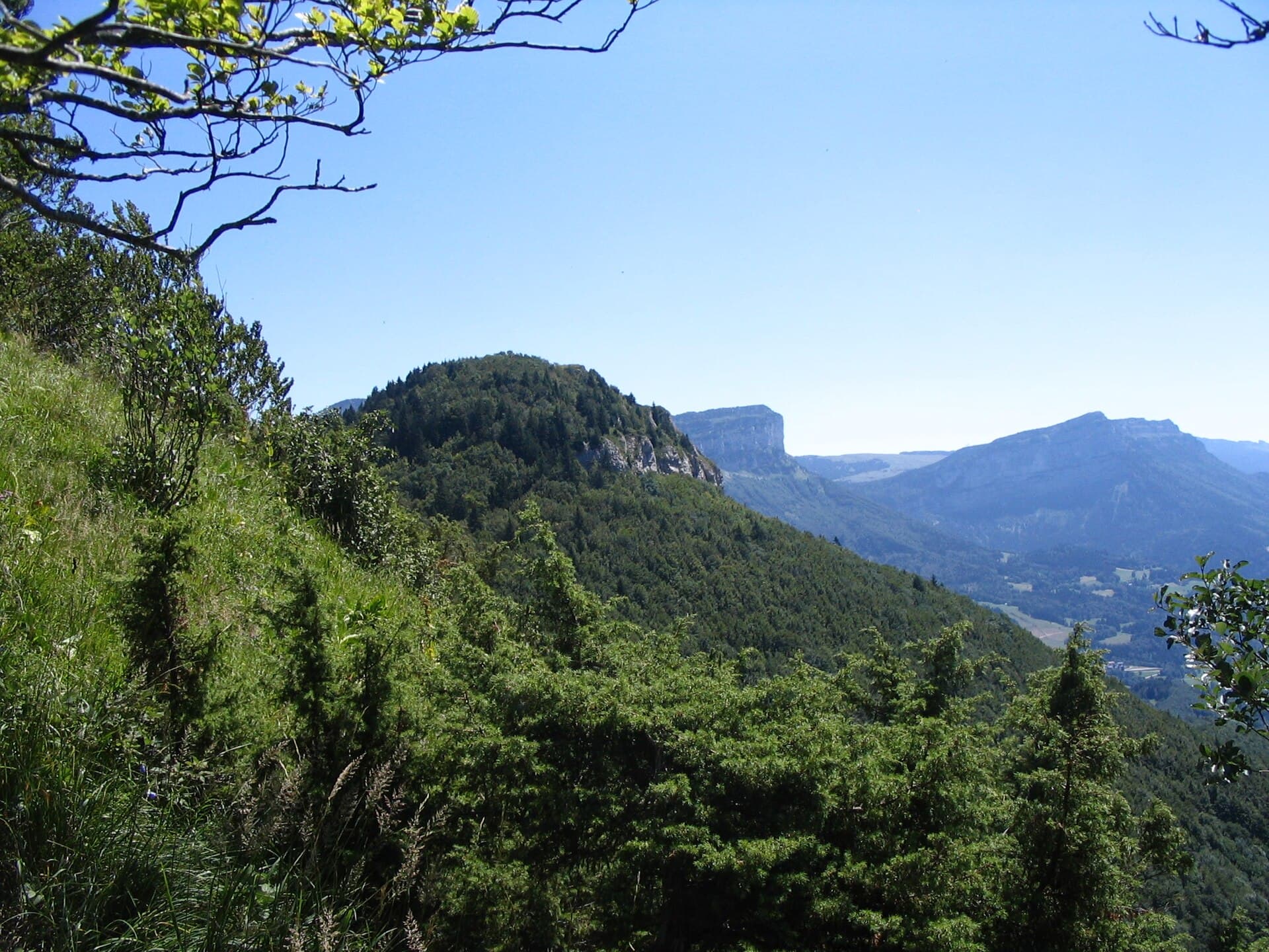 Croupes boisées de Chartreuse au-dessus de la cluse de Chambéry