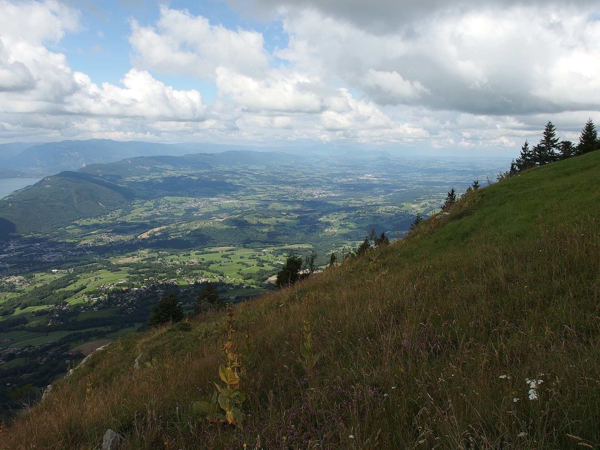 Alpages et forêts du Revard vus du ciel